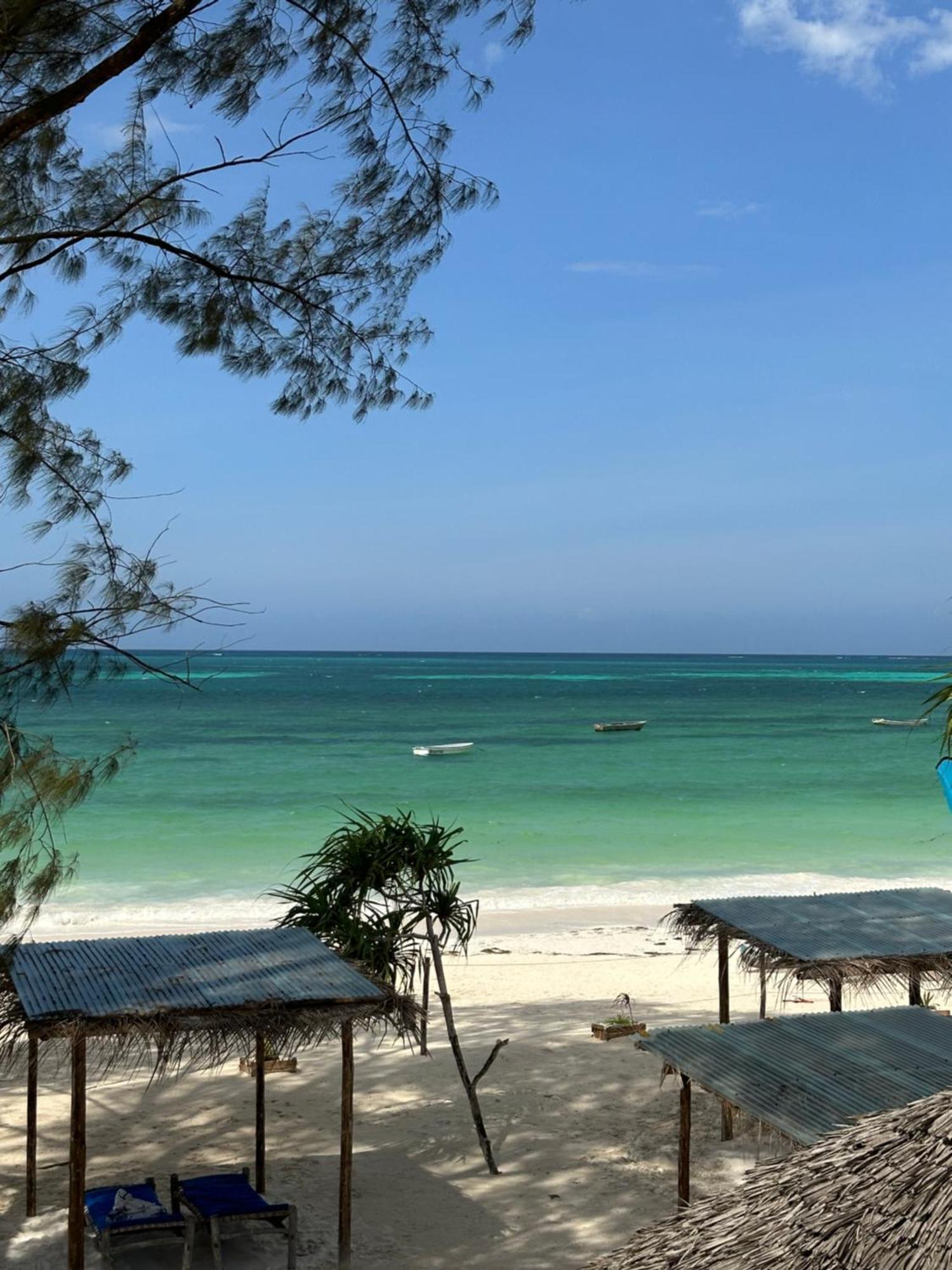 Kiwengwa Bungalow Boutique Resort 외부 사진